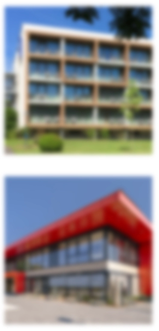 Elfsight für Mobile-Geräte